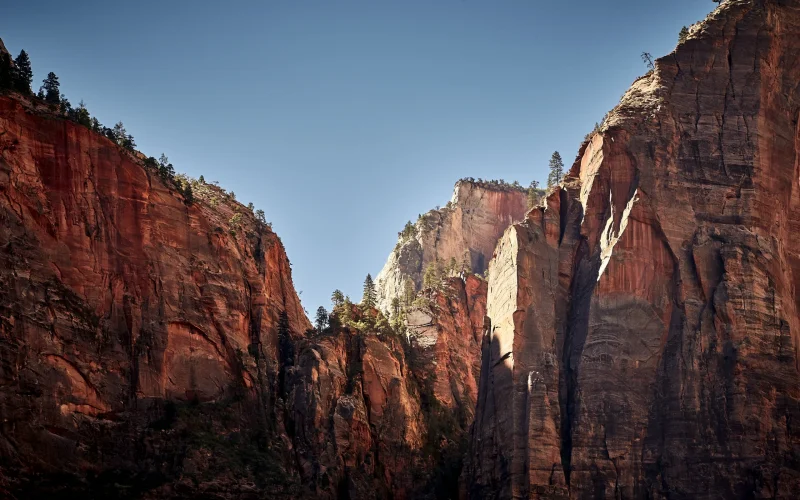 Scenic canyon views in Zion National Park for private tours